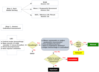 Thumbnail of SALT Triage Algorithm