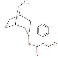 Structure of atropine sulfate